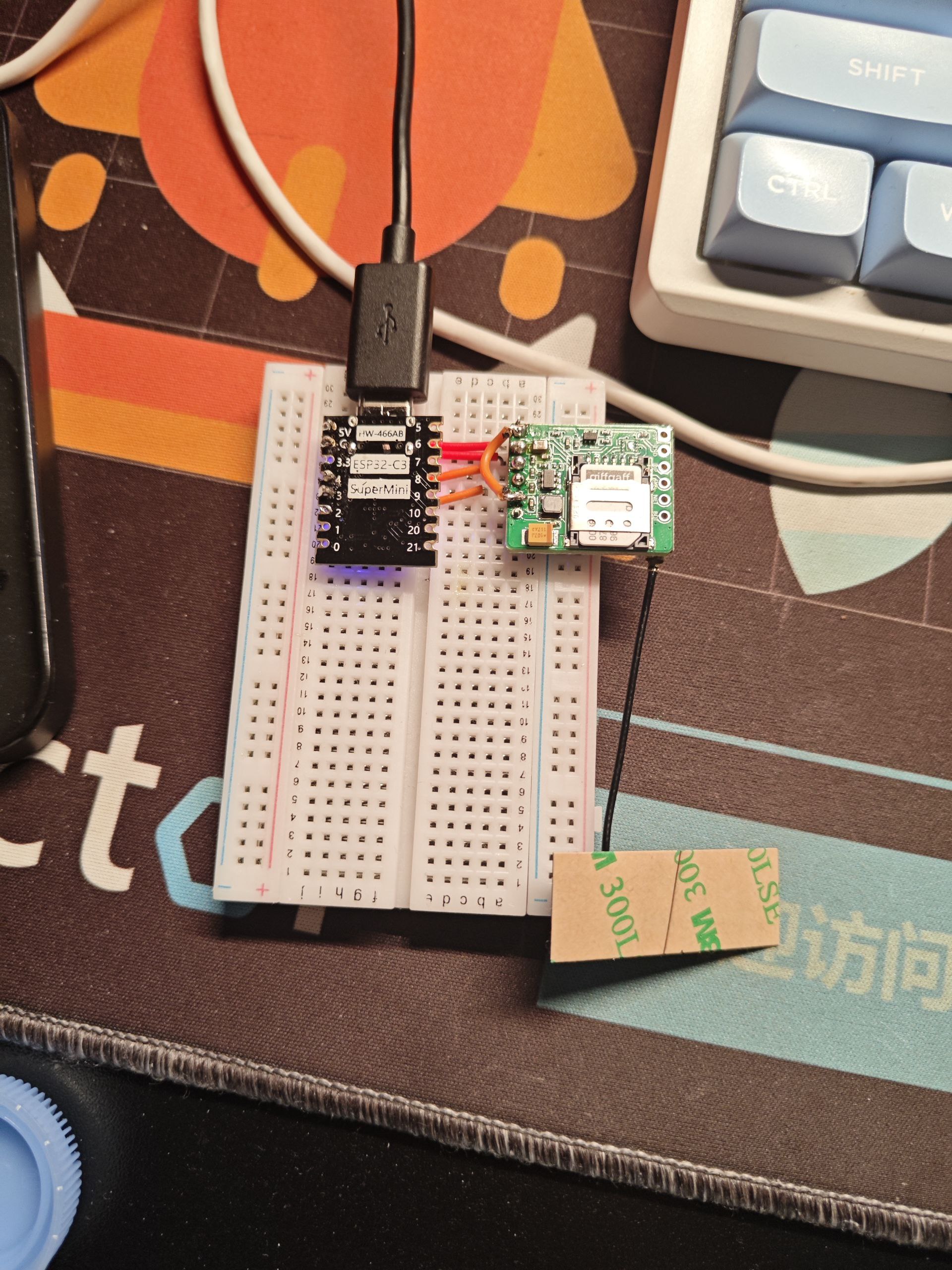 Cover Image of the Post